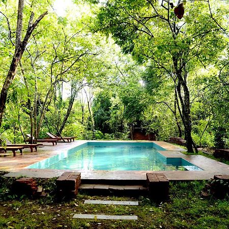 Mahagedara Wellness Retreat 호텔 Avudangawa 외부 사진