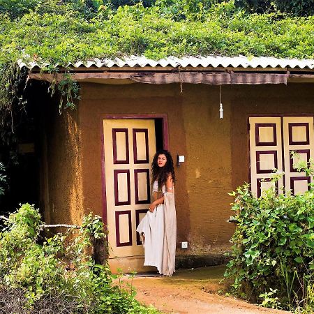 Mahagedara Wellness Retreat 호텔 Avudangawa 외부 사진