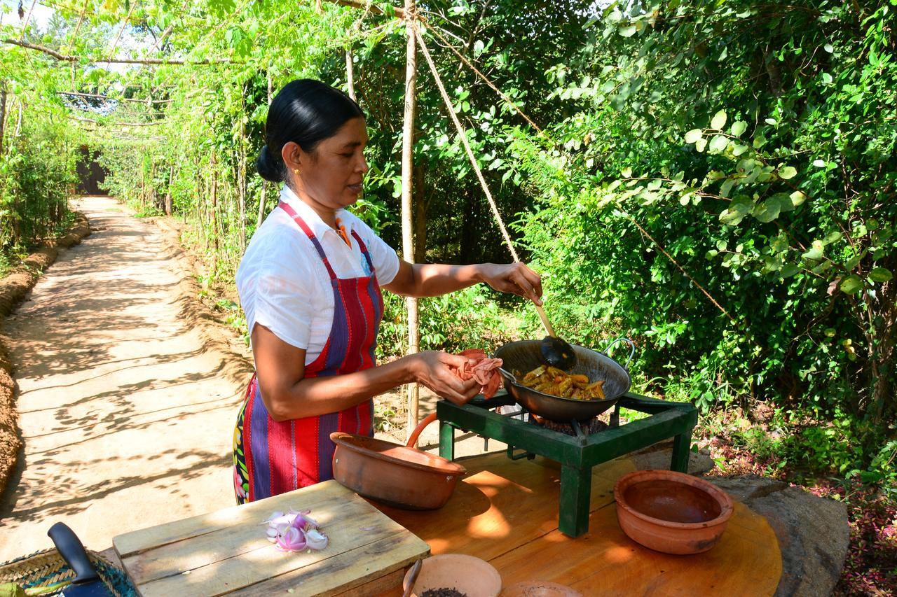 Mahagedara Wellness Retreat 호텔 Avudangawa 외부 사진