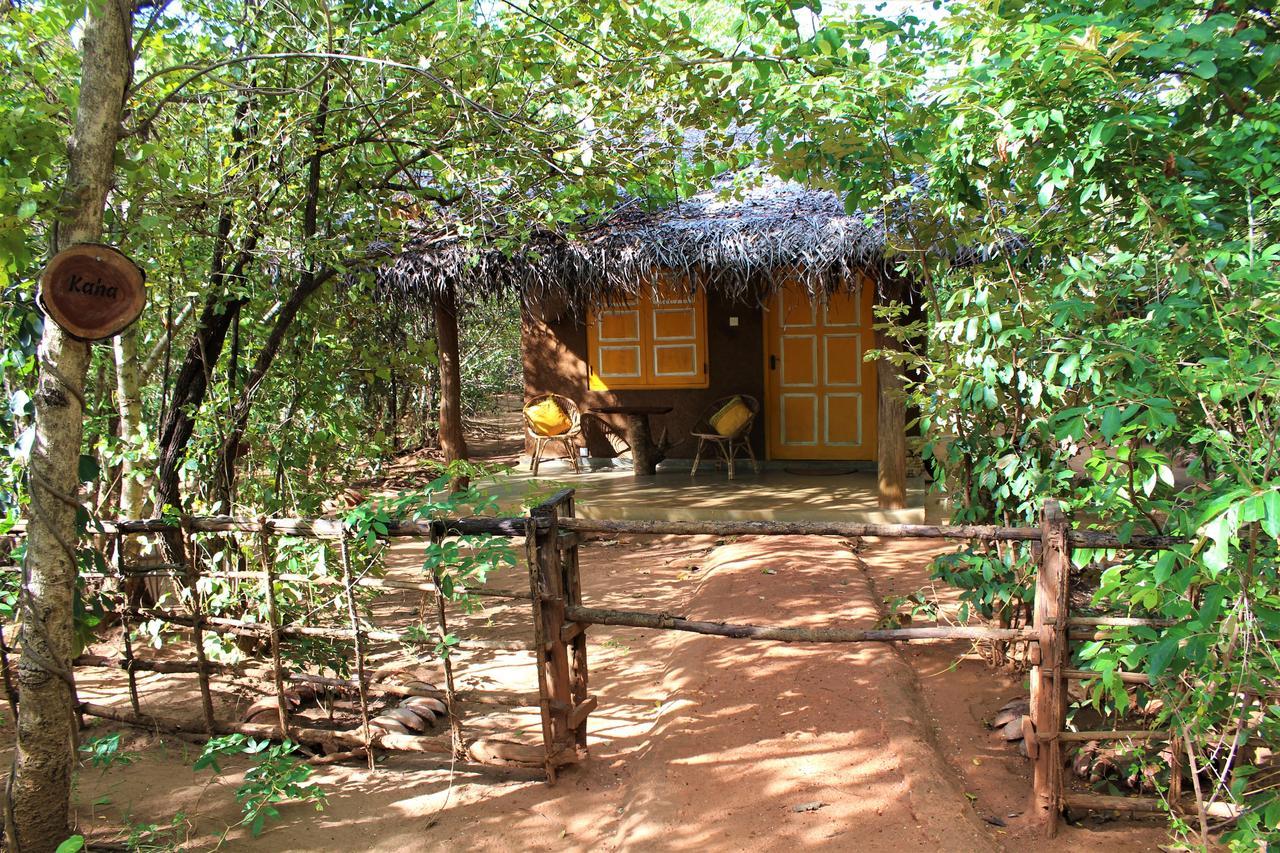 Mahagedara Wellness Retreat 호텔 Avudangawa 외부 사진