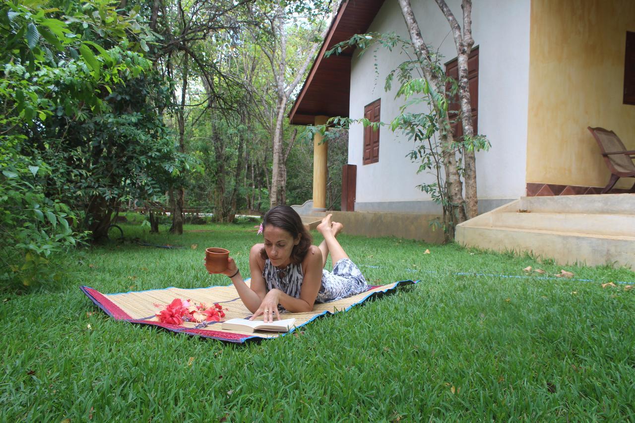Mahagedara Wellness Retreat 호텔 Avudangawa 외부 사진