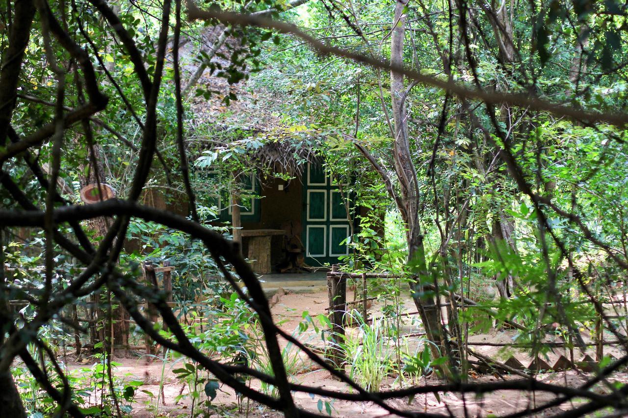 Mahagedara Wellness Retreat 호텔 Avudangawa 외부 사진