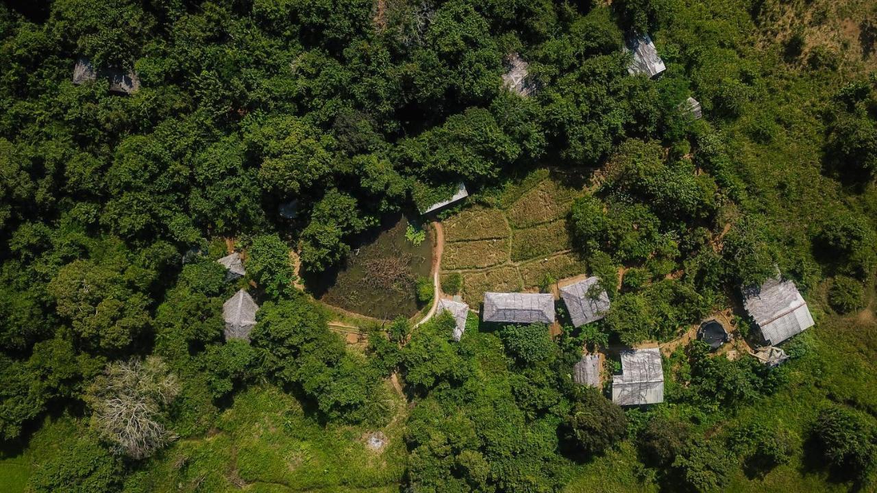 Mahagedara Wellness Retreat 호텔 Avudangawa 외부 사진