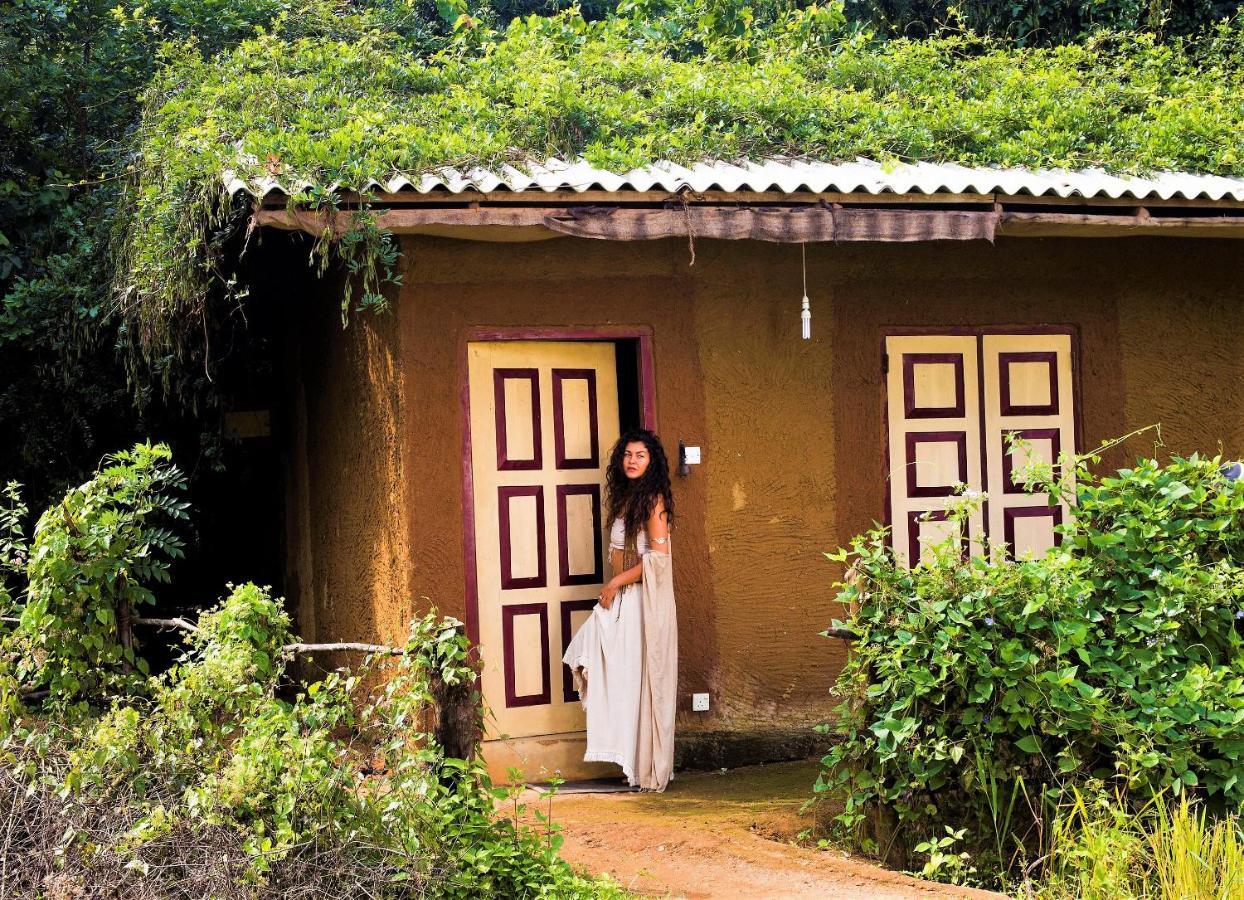 Mahagedara Wellness Retreat 호텔 Avudangawa 외부 사진