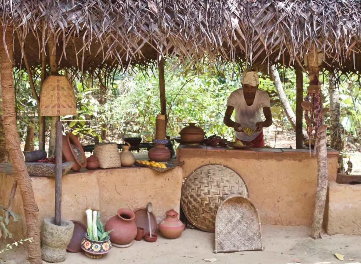 Mahagedara Wellness Retreat 호텔 Avudangawa 외부 사진
