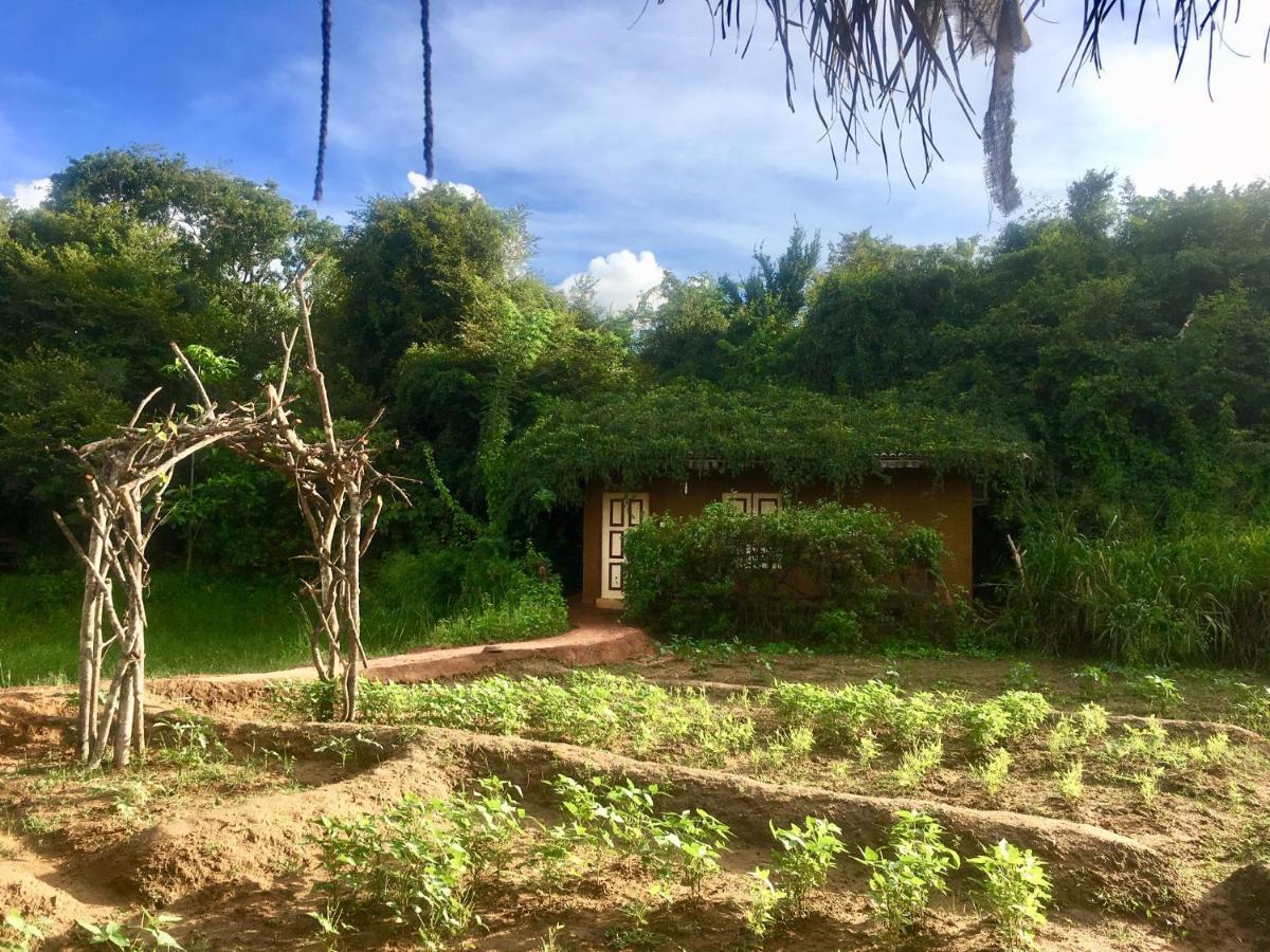 Mahagedara Wellness Retreat 호텔 Avudangawa 외부 사진